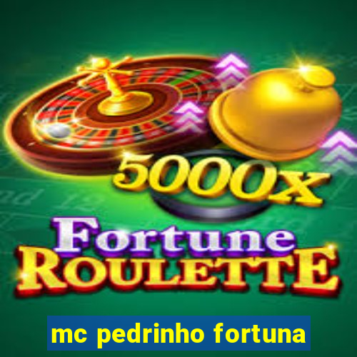 mc pedrinho fortuna